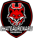 https://gap-handball.com/wp-content/uploads/2023/11/Chateaurenardais.png