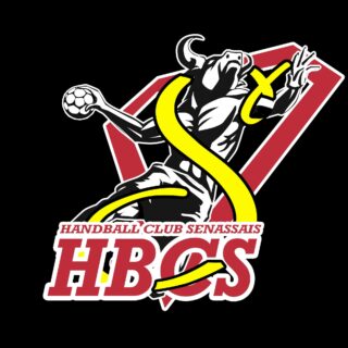 https://gap-handball.com/wp-content/uploads/2024/01/logo1-320x320.jpeg