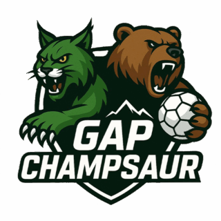 LOGO N2F https://gap-handball.com/wp-content/uploads/2025/11/LOGO-N2F-320x320.png